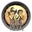 Don't Starve Together icon