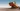 Wreckfest 2